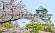 Nhật Bản: Lạm phát cơ bản tăng mạnh trong tháng 4