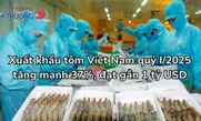 Xuất khẩu tôm Việt Nam quý I/2025 tăng mạnh 37%, đạt gần 1 tỷ USD