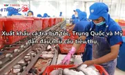 Xuất khẩu cá tra bứt tốc, Trung Quốc và Mỹ dẫn đầu nhu cầu tiêu thụ