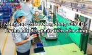 Nâng cao chất lượng dòng vốn FDI: Từ thu hút đến phát triển bền vững