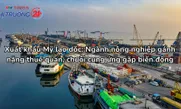 Xuất khẩu Mỹ lao dốc: Ngành nông nghiệp gánh nặng thuế quan, chuỗi cung ứng gặp biến động