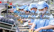 Doanh nghiệp quay trở lại thị trường đang tăng mạnh
