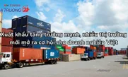 Xuất khẩu tăng trưởng mạnh, nhiều thị trường mới mở ra cơ hội cho doanh nghiệp Việt