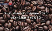 Xuất khẩu cà phê năm 2025 có thể đạt 7 tỷ USD
