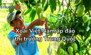 Xoài Việt Nam áp đảo thị trường Trung Quốc