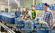 Lào Cai: Triệt phá cơ sở sản xuất gần 350 tấn giá đỗ chứa chất độc hại