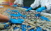 Thủy sản Việt Nam tăng tốc xuất khẩu