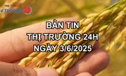 Bản tin Thị trường 24h ngày 3/6
