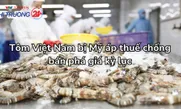 Tôm Việt Nam bị Mỹ áp thuế chống bán phá giá kỷ lục