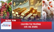 Bản tin Thị trường 24h ngày 9/6