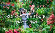 Bản tin Đời sống tiêu dùng ngày 14/6