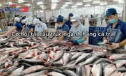 Cơ hội tái cấu trúc ngành hàng cá tra