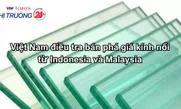 Việt Nam điều tra bán phá giá kính nổi từ Indonesia và Malaysia