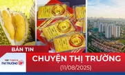 Bản tin Thị trường 24h ngày 11/8