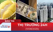 Bản tin Thị trường 24h ngày 11/8