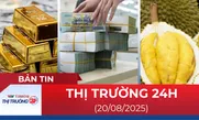 Bản tin Thị trường 24h ngày 20/8