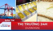 Bản tin Thị trường 24h ngày 24/8