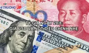 Tỷ giá ngày 28/8: Giá USD và NDT điều chỉnh nhẹ