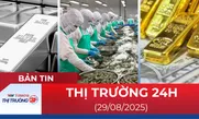 Bản tin Thị trường 24h ngày 29/8