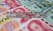 Tỷ giá ngày 3/9: USD biến động trái chiều tại các ngân hàng