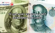 Tỷ giá ngày 4/9: USD và NDT biến động trái chiều