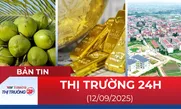 Bản tin Thị trường 24h ngày 12/9