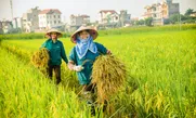 Bản tin Thị trường 24h ngày 14/05/2026