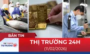 Bản tin Thị trường 24h ngày 11/2/2026