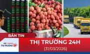 Bản tin Thị trường 24h ngày 31/3/2026