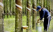 Bản tin Thị trường 24h ngày 30/06/2026