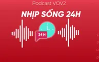 Nhịp sống 24h