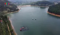 Lá xanh - Số 6 - 17/3/2025