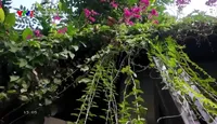 Kiến thức cộng đồng: Góc thiên nhiên của bạn - Số 3