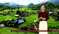 Nóng cùng V8 trưa - 26/4/2025