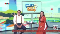 Biết gì chưa - 03/5/2025