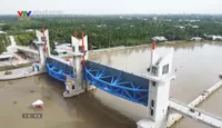 Biến đổi khí hậu: Bờ Nam sông Hậu thoát xâm nhập mặn