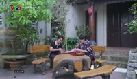 Nhà nông vui vẻ: Cây mộc hương và những lợi ích cho sức khỏe