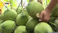 Bản tin tiếng Pháp - 13/5/2025