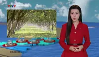 Trang địa phương: Số 22