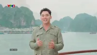 Cho ngày hoàn hảo: 	Ca sĩ Đăng Dương