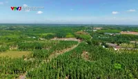 Hành trình kết nối xanh: 		Du lịch Net Zero