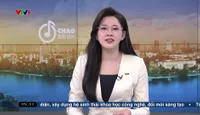 Các hộ, cá nhân kinh doanh sẽ chưa bị xử phạt trong giai đoạn đầu triển khai hóa đơn điện tử 