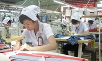 Binh Duong sees foreign investment boom in garment sector