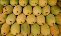 Vietnamese mangoes sold in Japan for first time