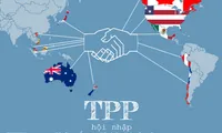 Opinions on concluded TPP talks