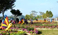 6th Dalat Flower Festival nears