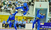 World Federation of Vietnam Martial Arts established