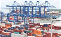 50% export containers enjoy online payment channel