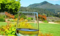 Californian wine opens up new business opportunities