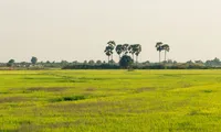 Reserve rice sent to mountainous areas before rainy season